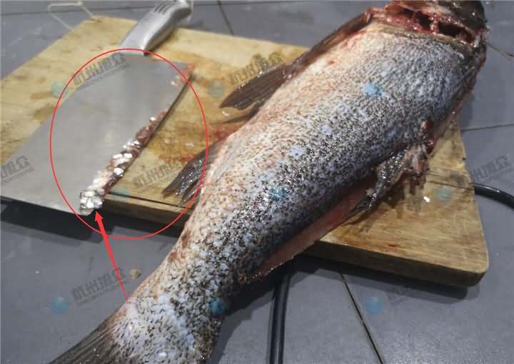 5e1a7d262b241.jpg QQ圖片20200112095331.jpg