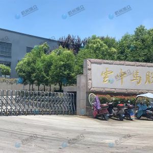 松陽的客戶，調(diào)試30型包子機(jī)完成！