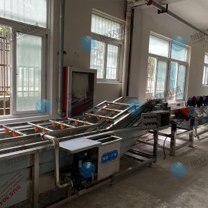 果蔬氣泡清洗機風(fēng)干流水線多少錢？